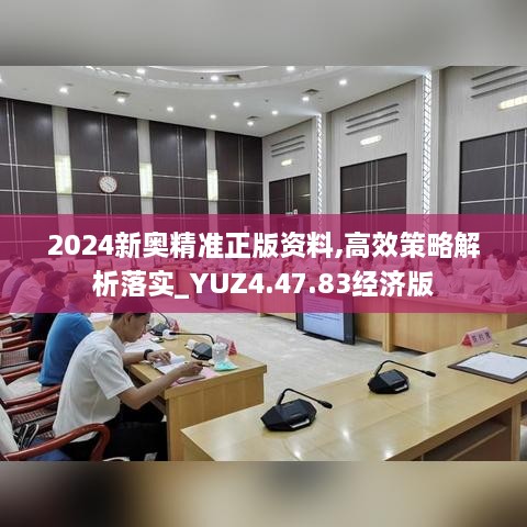 2024新奥精准正版资料,高效策略解析落实_YUZ4.47.83经济版