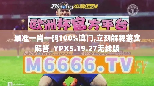 最准一肖一码100%澳门,立刻解释落实解答_YPX5.19.27无线版