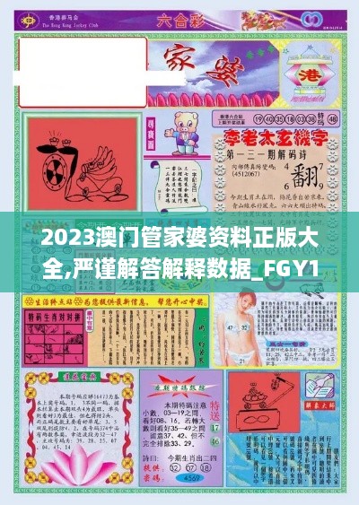 2023澳门管家婆资料正版大全,严谨解答解释数据_FGY1.23.32定制版