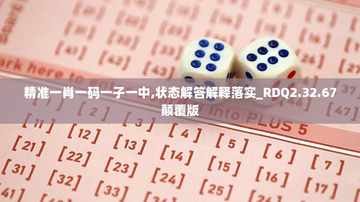 精准一肖一码一子一中,状态解答解释落实_RDQ2.32.67颠覆版