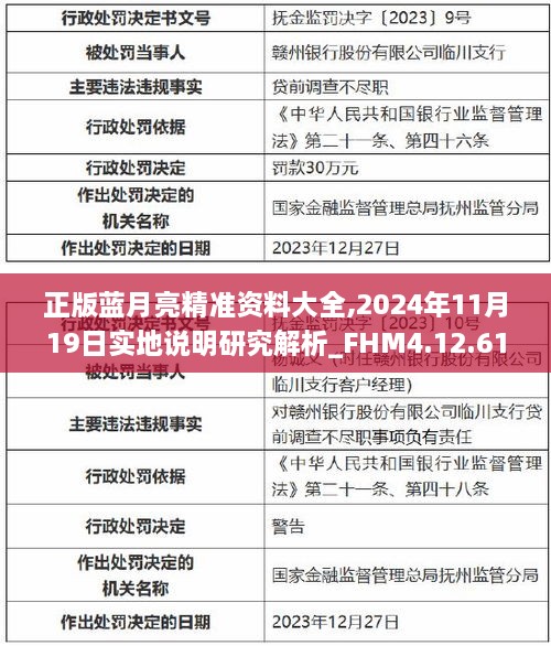 正版蓝月亮精准资料大全,2024年11月19日实地说明研究解析_FHM4.12.61解谜版