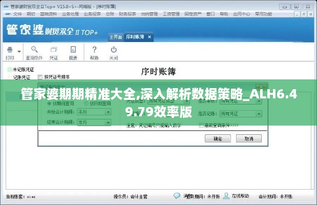 管家婆期期精准大全,深入解析数据策略_ALH6.49.79效率版