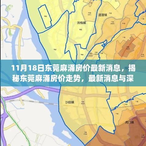 2024年11月19日 第48页