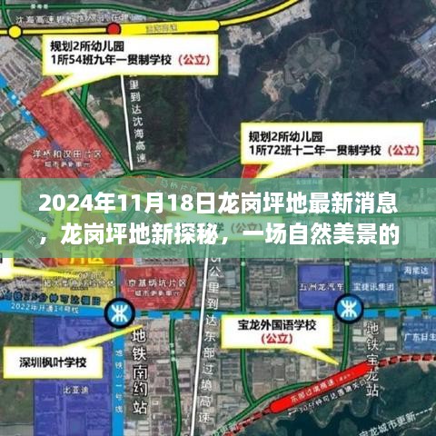 2024年11月18日龙岗坪地新探秘，自然美景的心灵之旅