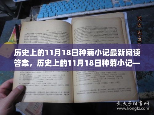 历史上的11月18日种菊小记，最新阅读答案及详细步骤指南解析