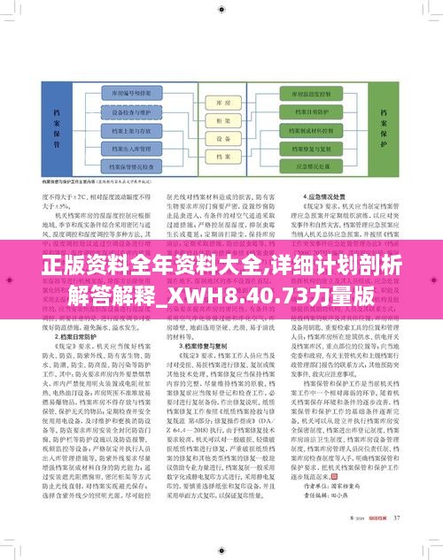 正版资料全年资料大全,详细计划剖析解答解释_XWH8.40.73力量版