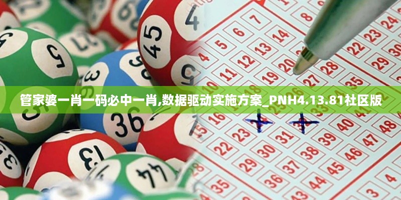 管家婆一肖一码必中一肖,数据驱动实施方案_PNH4.13.81社区版