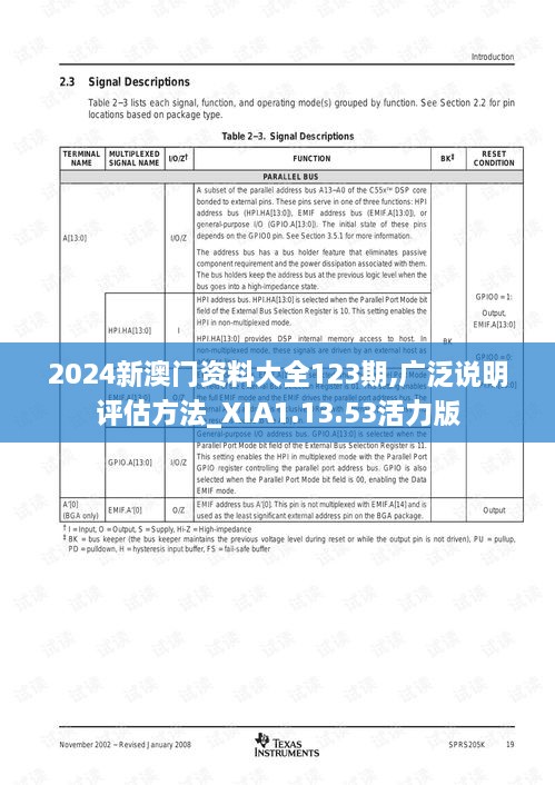 2024新澳门资料大全123期,广泛说明评估方法_XIA1.13.53活力版