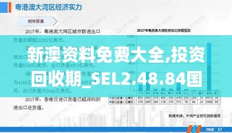 新澳资料免费大全,投资回收期_SEL2.48.84国际版