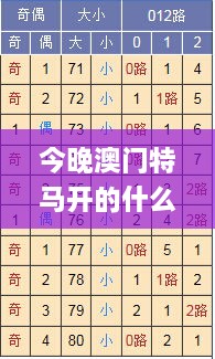 今晚澳门特马开的什么号码,深度解析数据设计_CEC5.74.29安静版