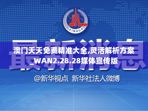 澳门天天免费精准大全,灵活解析方案_WAN2.28.28媒体宣传版