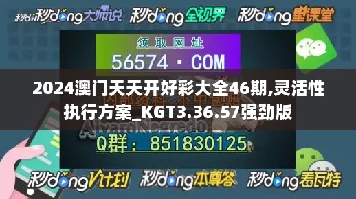 2024澳门天天开好彩大全46期,灵活性执行方案_KGT3.36.57强劲版