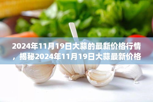 揭秘大蒜最新行情，深度解析市场走势与未来预测（2024年大蒜价格行情报告）