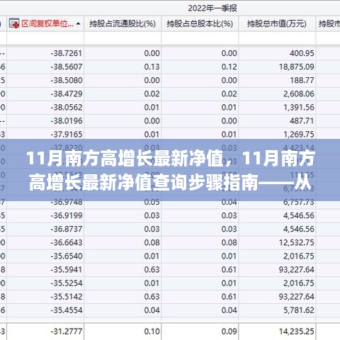 11月南方高增长最新净值详解，查询步骤指南与入门进阶