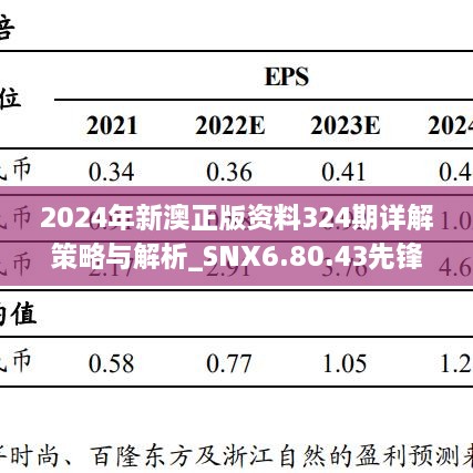 2024年新澳正版资料324期详解策略与解析_SNX6.80.43先锋实践版