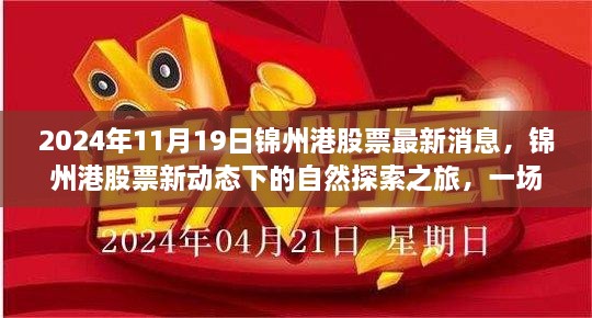 锦州港股票最新动态，自然探索与心灵宁静之旅启程于2024年11月19日