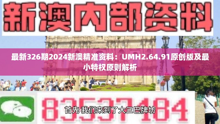 2024年11月19日 第13页