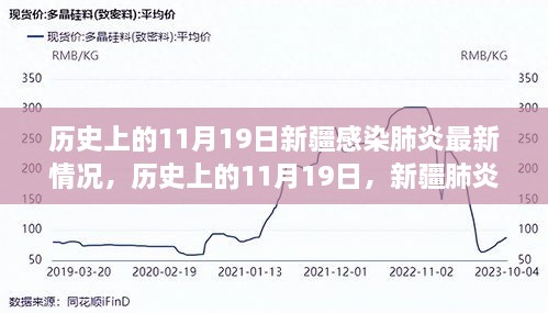 历史上的11月19日，新疆肺炎感染最新情况分析与报告