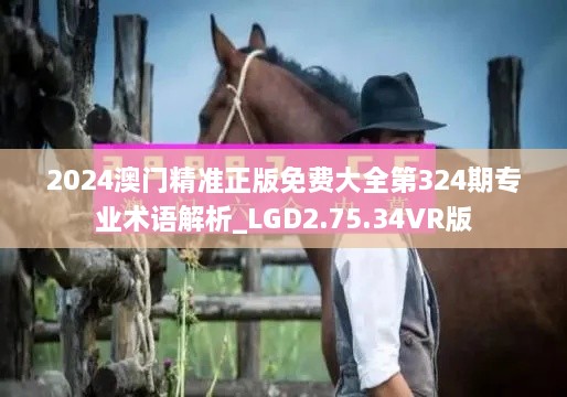 2024澳门精准正版免费大全第324期专业术语解析_LGD2.75.34VR版