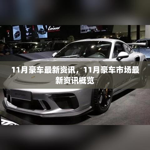 11月豪车市场最新资讯概览，豪华车型动态一网打尽