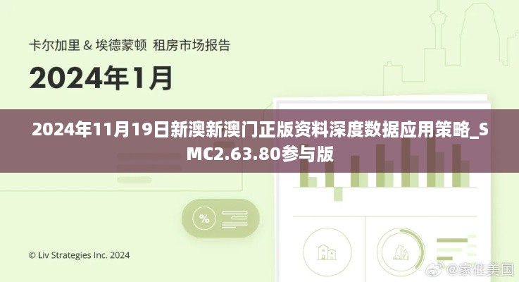 2024年11月19日新澳新澳门正版资料深度数据应用策略_SMC2.63.80参与版