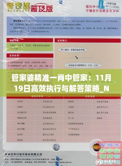 管家婆精准一肖中管家：11月19日高效执行与解答策略_NSP4.43.27全球版