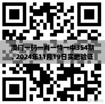 澳门一码一肖一恃一中354期, 2024年11月19日实地验证数据设计_EGM3.44.54先锋实施版