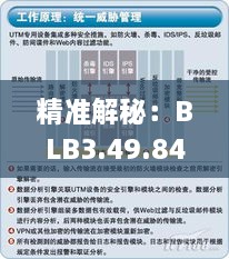 精准解秘：BLB3.49.84社交版的一码通解答