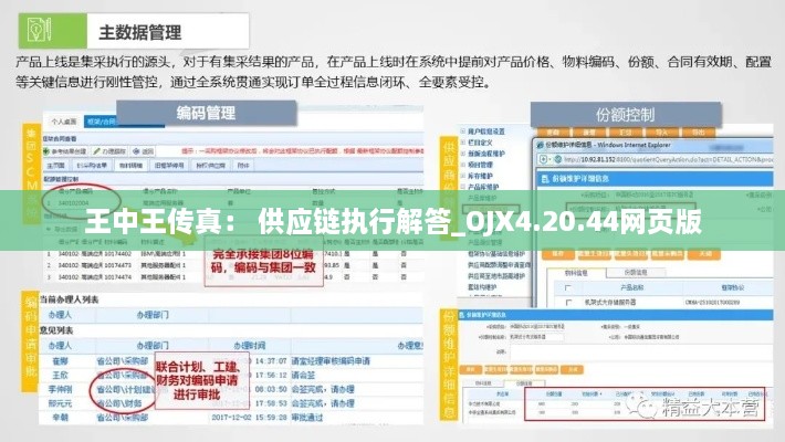 王中王传真： 供应链执行解答_OJX4.20.44网页版