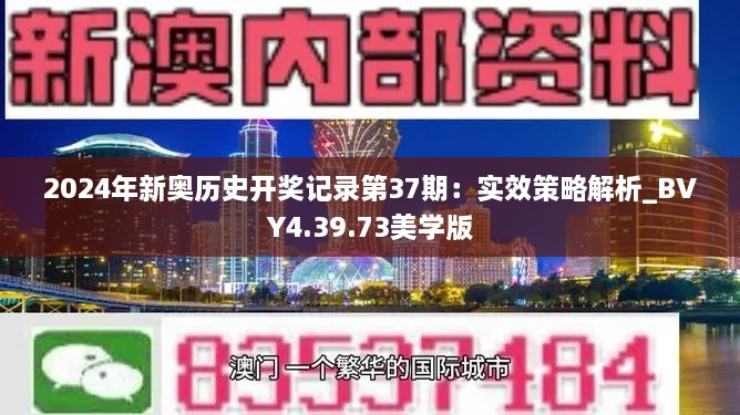 2024年新奥历史开奖记录第37期：实效策略解析_BVY4.39.73美学版