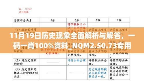 11月19日历史现象全面解析与解答，一码一肖100%资料_NQM2.50.73专用版