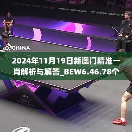 2024年11月19日新澳门精准一肖解析与解答_BEW6.46.78个人版