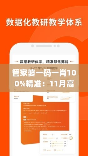 管家婆一码一肖100%精准：11月高效方案管理_ABT8.67.25多维版