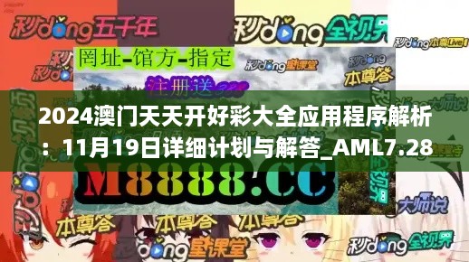 2024澳门天天开好彩大全应用程序解析：11月19日详细计划与解答_AML7.28.23精装版