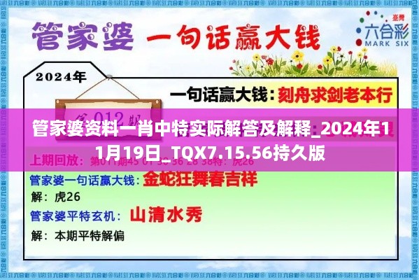 管家婆资料一肖中特实际解答及解释_2024年11月19日_TQX7.15.56持久版