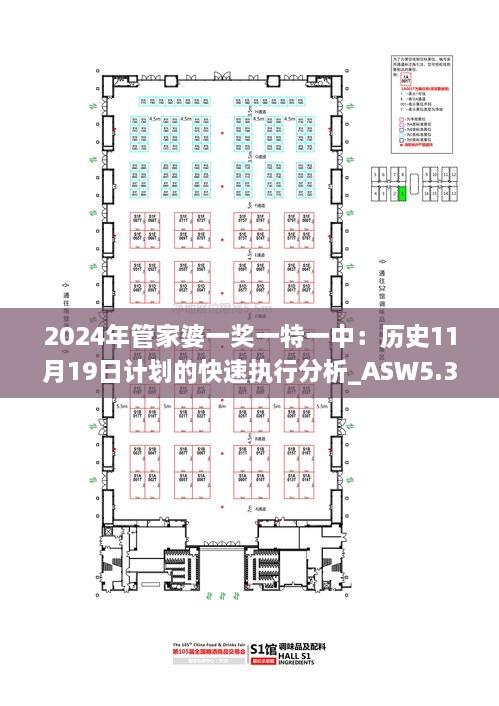 2024年管家婆一奖一特一中：历史11月19日计划的快速执行分析_ASW5.31.93万能版