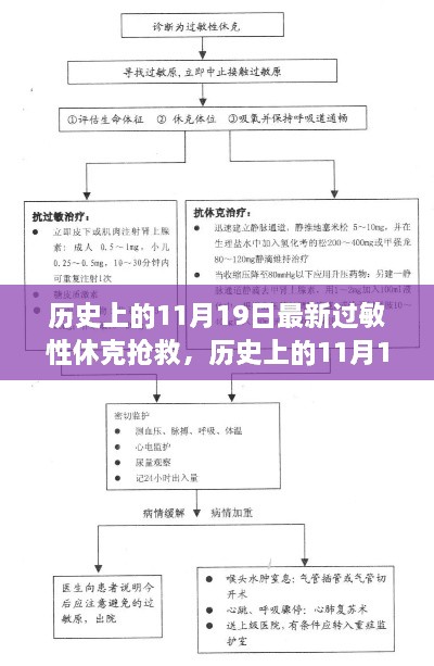 历史上的11月19日过敏性休克抢救里程碑事件回顾