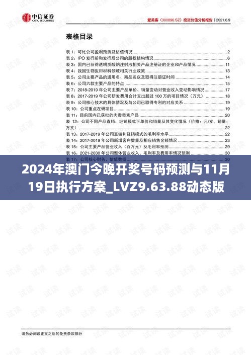 2024年澳门今晚开奖号码预测与11月19日执行方案_LVZ9.63.88动态版