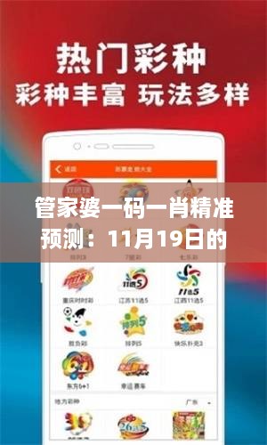 管家婆一码一肖精准预测：11月19日的历史解读_NNF5.70.81精致版