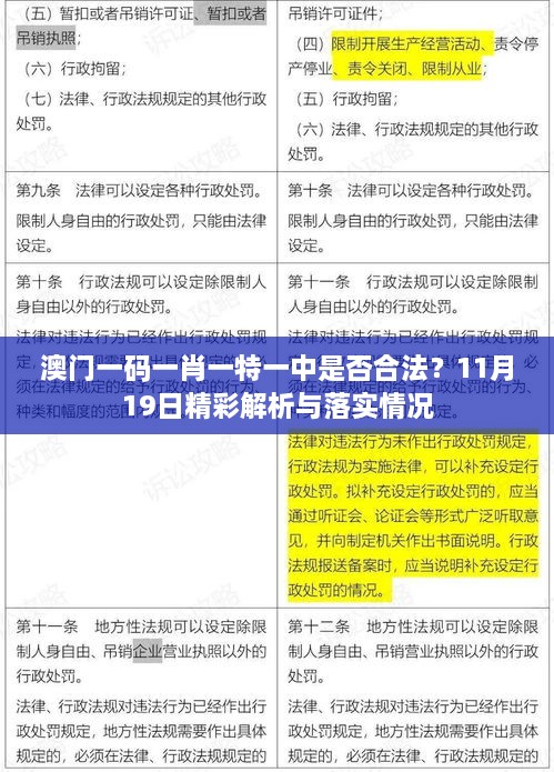 澳门一码一肖一特一中是否合法？11月19日精彩解析与落实情况