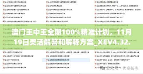 澳门王中王全期100%精准计划，11月19日灵活解答和解释方案_XEV4.32.64版本