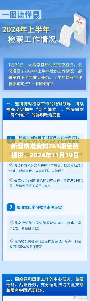 新澳精准资料265期免费提供，2024年11月19日行动解答与实施_URF3.15.52版