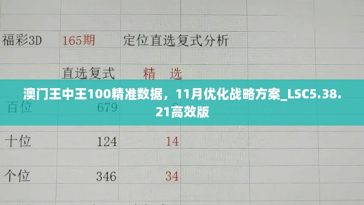 澳门王中王100精准数据，11月优化战略方案_LSC5.38.21高效版