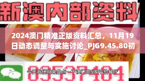 2024澳门精准正版资料汇总，11月19日动态调整与实施讨论_PJG9.45.80初学版