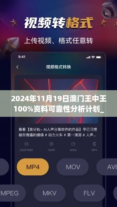 2024年11月19日澳门王中王100%资料可靠性分析计划_ZVI4.31.78复刻版