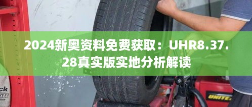 2024新奥资料免费获取：UHR8.37.28真实版实地分析解读