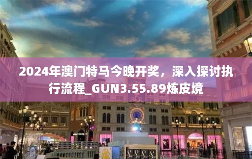 2024年澳门特马今晚开奖，深入探讨执行流程_GUN3.55.89炼皮境