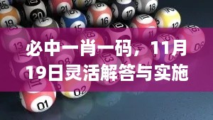 必中一肖一码，11月19日灵活解答与实施_AMI5.14.24旅行助手版