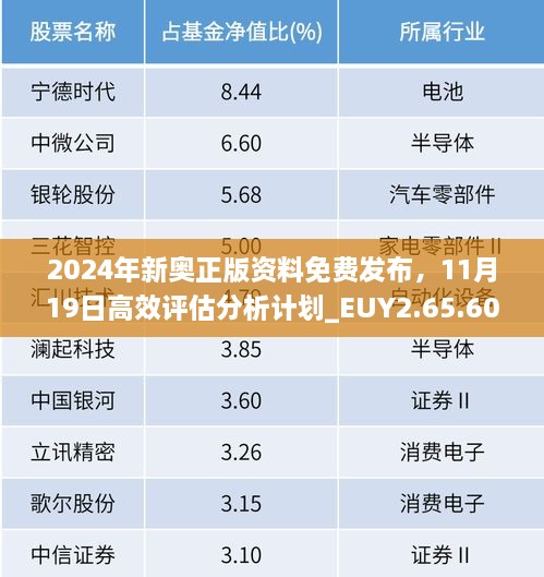 2024年新奥正版资料免费发布，11月19日高效评估分析计划_EUY2.65.60设计师版