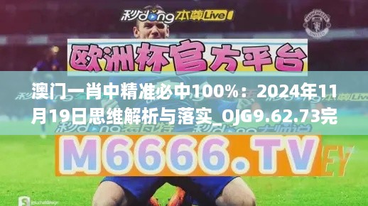 澳门一肖中精准必中100%：2024年11月19日思维解析与落实_OJG9.62.73完整版